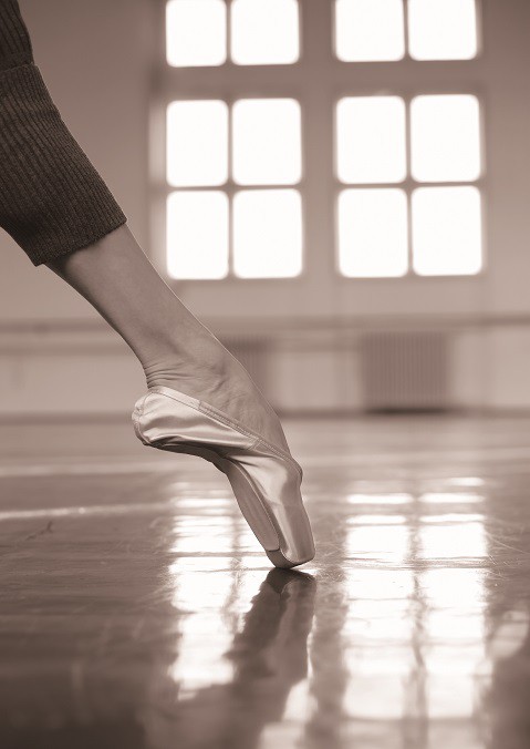 teaser-4-8-pic01.jpg