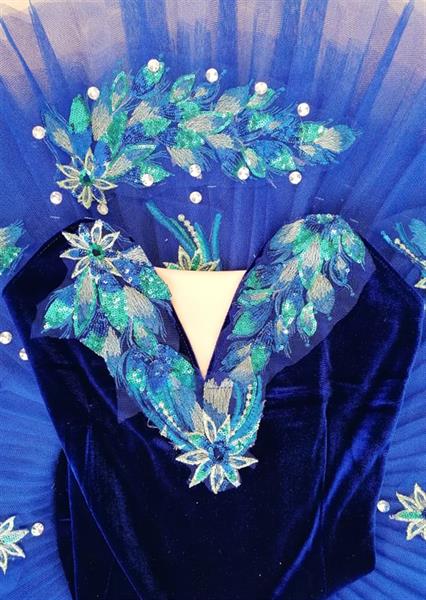 TT011BLUE_3.jpg