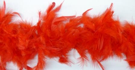 Federboa rot
