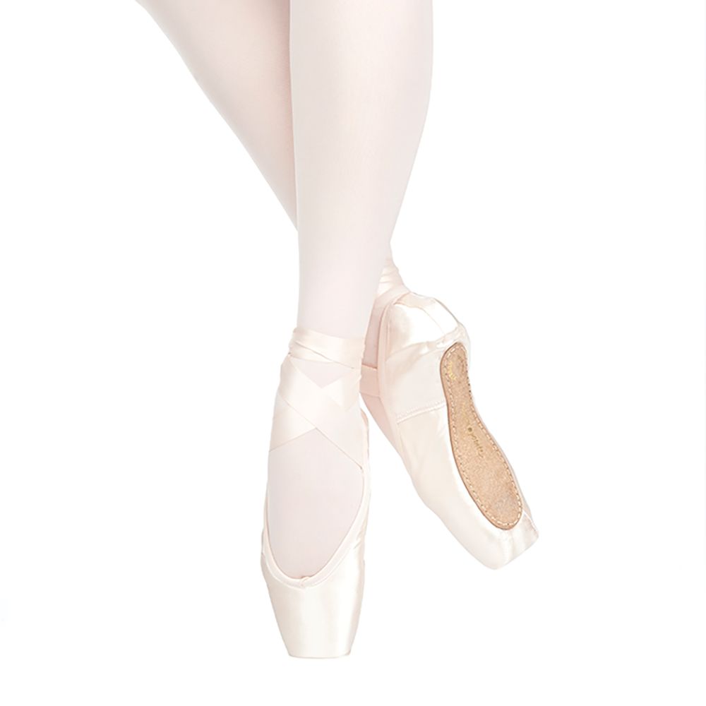 Russian Pointe SAPFIR