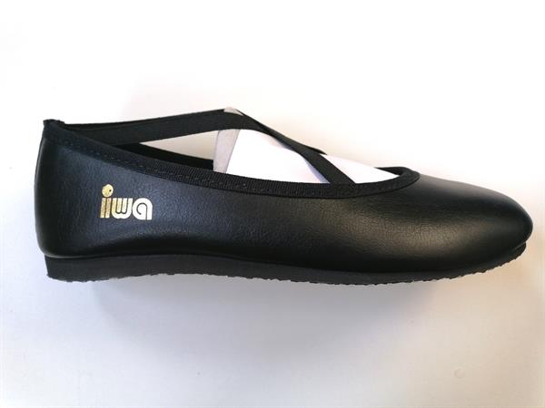 IWA_818_1.jpg